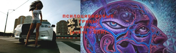 твердый Аркадак