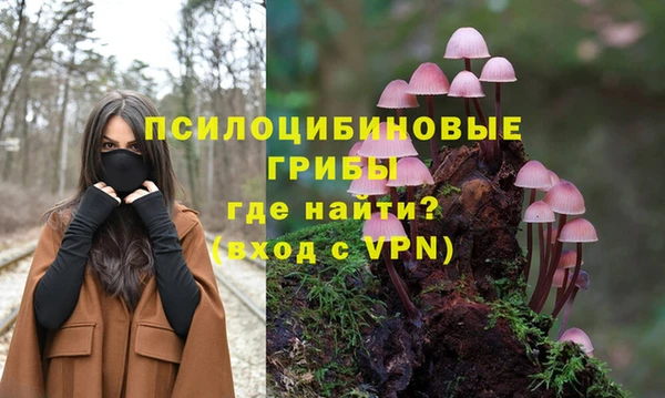ECSTASY Армянск