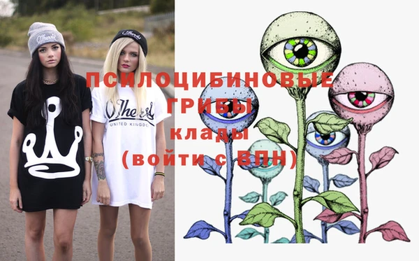 твердый Аркадак