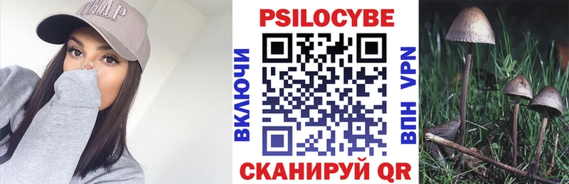 Галлюциногенные грибы прущие грибы  Севск 